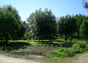 Jardin ombragé